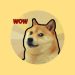 Doge Clicker: Simulate your own mining farm!
