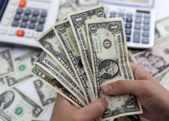 US Dollar Soars to Its Best Exchange Rate