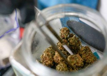 Minnesota Gov Walz expected to sign bill legalizing recreational marijuana