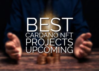 What Are the Best Cardano NFT Projects Upcoming?