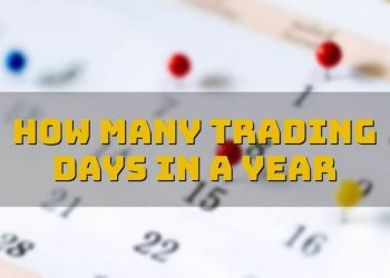 How many trading days in a year: a trading guide by a PRO