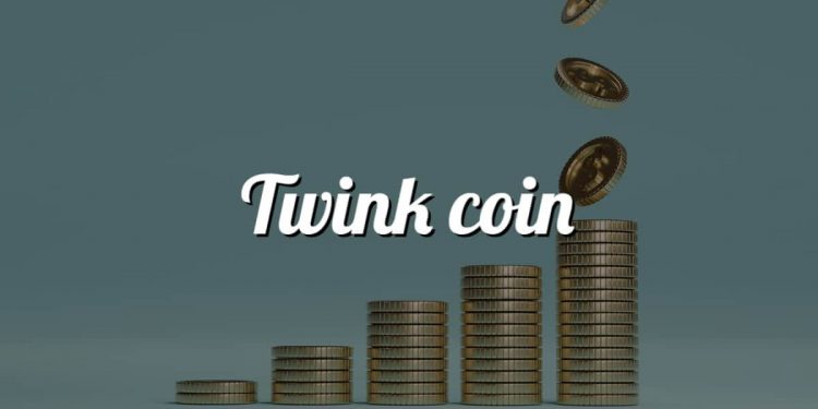 Twink coin – get to know what it is and whether it is real.