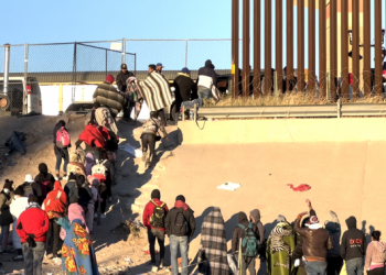 Six NYC public elementary schools set to host migrants: report