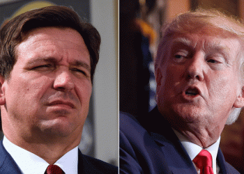 Team DeSantis throws shade at Trump following endorsements from 99 Florida lawmakers: ‘Almost universal’
