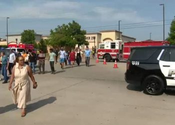 Texas Dem points finger at blue states as latest mass shooting reignites gun control push: ‘Root problems’