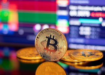 Bitcoin price could pace declines for risk assets, senior macro strategist says