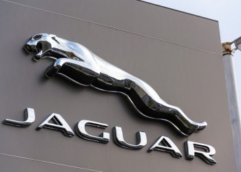 Nifty 50 index best and worst constituents of 2023 revealed