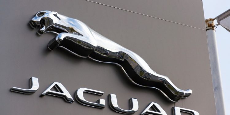 Nifty 50 index best and worst constituents of 2023 revealed