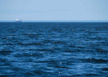 Black Sea: Geopolitical Impact on Agricultural Markets