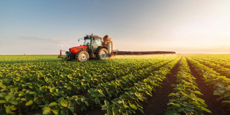 Commodities Trade: China’s Market Reflects a Weak Rebound