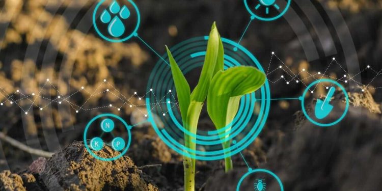 Decarbonice ICO: Green Energy Revolution or Just Hype?