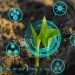 Decarbonice ICO: Green Energy Revolution or Just Hype?