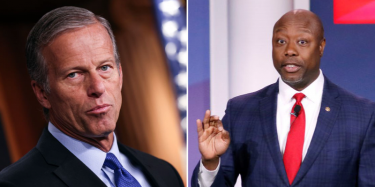 Senate Minority Whip John Thune to endorse Tim Scott for president