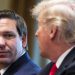 Over 100 former Trump administration officials back DeSantis for president: ‘A proven winner’