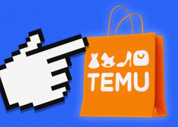 Shoppers are flocking to Temu for cheap deals — but will the novelty last?