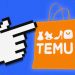 Shoppers are flocking to Temu for cheap deals — but will the novelty last?