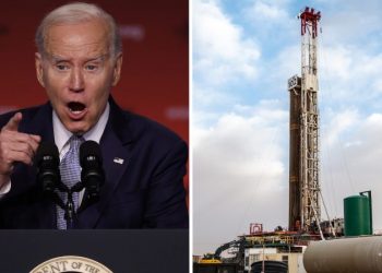 Top energy industry group grading presidential candidates’ energy plans