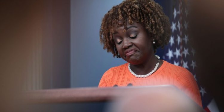 White House refuses to answer question on Hunter Biden’s Second Amendment defense plan: ‘I’m just not’