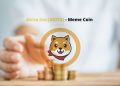 ApeCoin and Akita Inu: Akita Inu tests support again