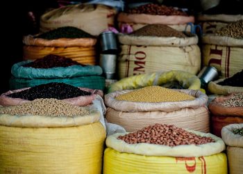 An Overview of the Soft Commodities Market