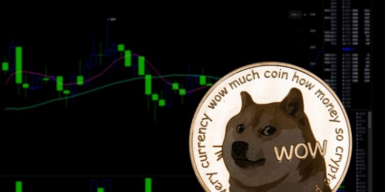 Dogecoin and Shiba Inu: Dogecoin falls below the 0.06000