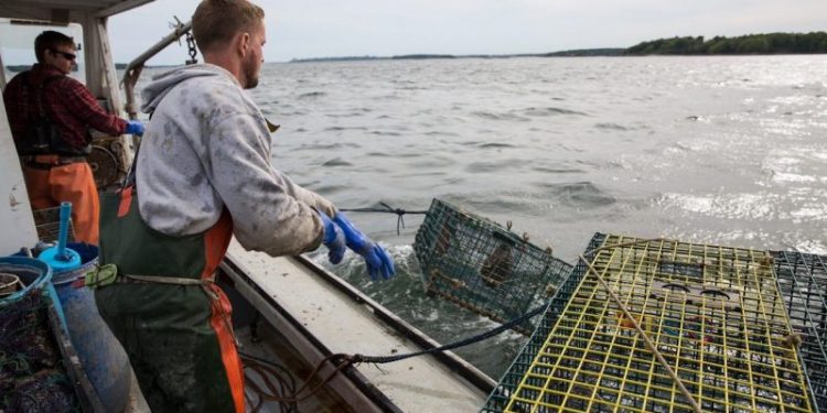 Maine lobstermen catch big court victory against Biden administration’s ‘egregious’ regulations