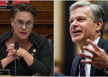 FBI Director Wray says idea he is targeting conservatives is ‘somewhat insane’