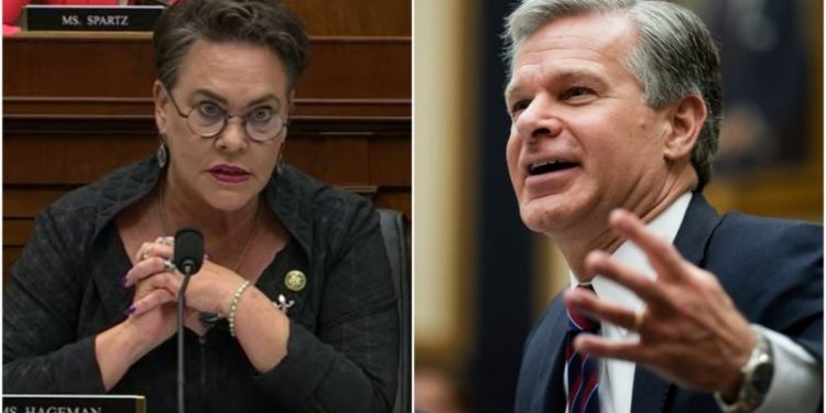 FBI Director Wray says idea he is targeting conservatives is ‘somewhat insane’