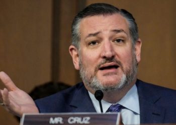 Cruz shoots down Schumer effort to regulate AI: ‘More harm than good’