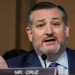 Cruz shoots down Schumer effort to regulate AI: ‘More harm than good’
