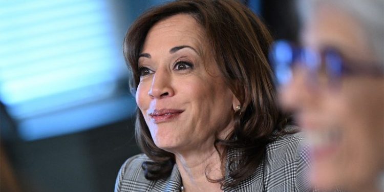 Vice President Kamala Harris attempts to explain AI in latest word salad gaffe: ‘Kind of a fancy thing’