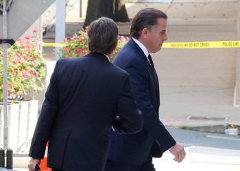 Will collapse of Hunter Biden plea deal help RFK Jr. in his longshot primary bid against President Biden?