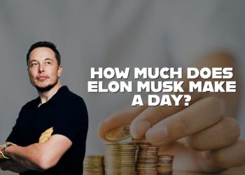 How Much Does Elon Musk Make A Day?