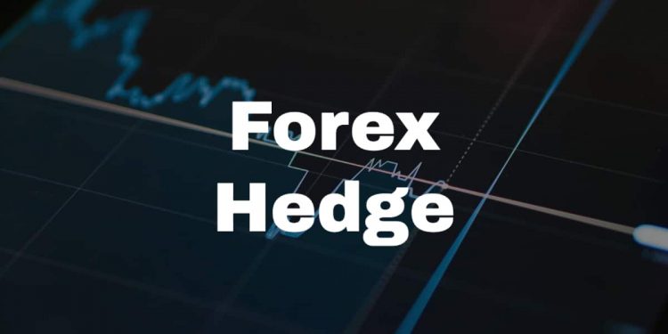 Forex Hedge: How to Hedge Currency Risk