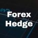 Forex Hedge: How to Hedge Currency Risk