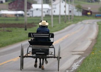 Appellate court sides with Amish community in religious freedom septic tank case