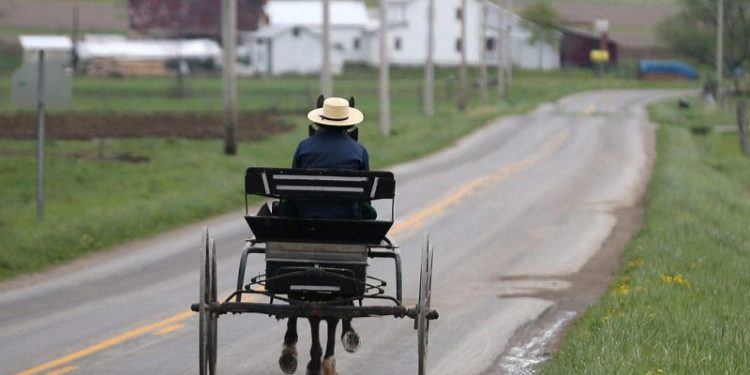Appellate court sides with Amish community in religious freedom septic tank case