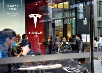 Tesla and Netflix: The Spotlight as Investors Remain Bullish