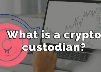 What is a crypto custodian? – Cryptocurrency Explained