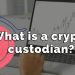 What is a crypto custodian? – Cryptocurrency Explained