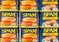 Spam donates 264,000 cans of meat product valued at more than $1M to Maui wildfire victims