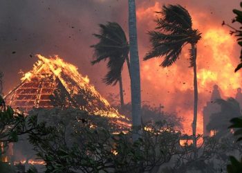 Maui company says request for water to fight wildfire delayed several hours while state consulted with farmers