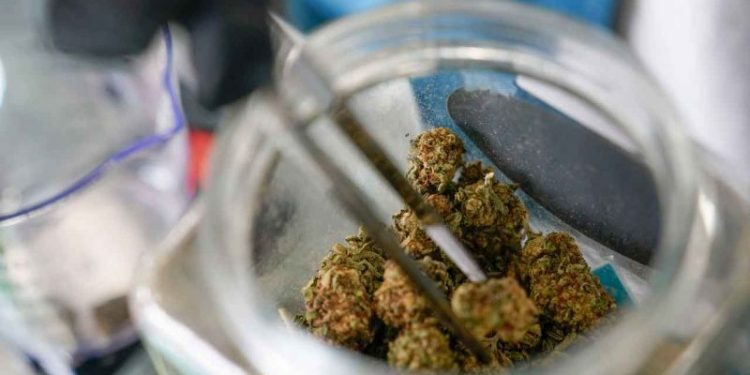 Bipartisan bill would allow people who consumed marijuana to gain federal employment