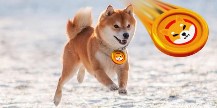 Dogecoin and Shiba Inu: Dogecoin is holding above 0.07500