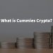 What is Cummies Crypto (CumRocket) – Get All The Information