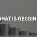 What is Gecoin (GEC), and How Does it Work?