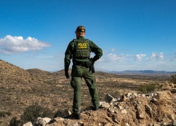 Border Patrol agents stop 4 illegal immigrant sex offenders coming into US in 1 day