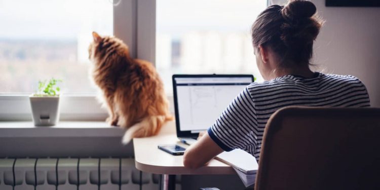 Working from Home – The Opportunities and Challenges