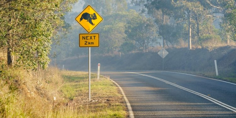 BHP Share Price: Challenges Amidst Commodities Slump