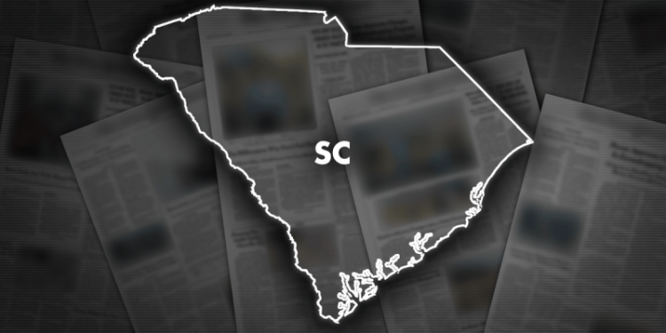 SC sees tight race in Dem primary for state Senate seat; leader ahead by 11 votes